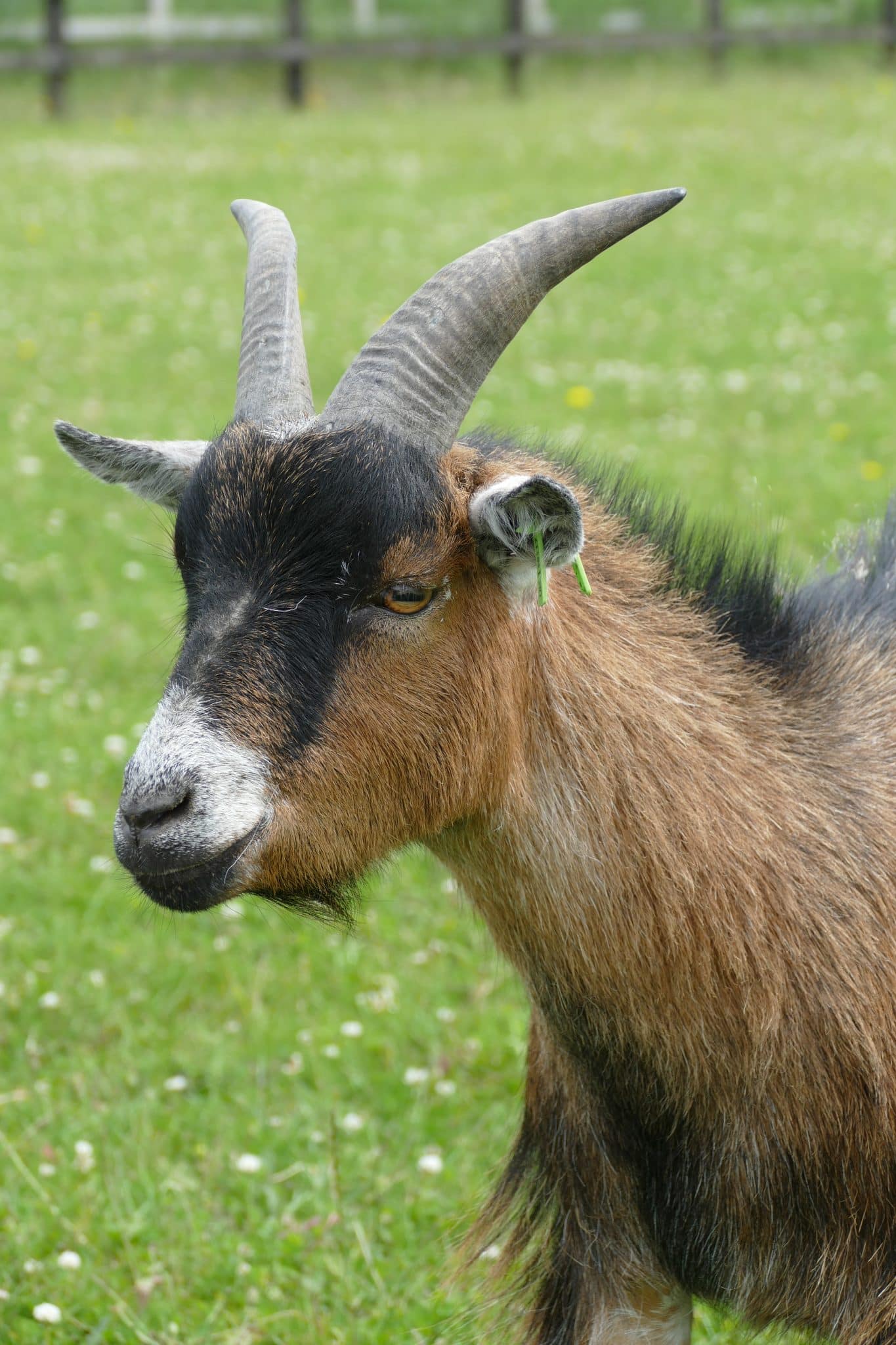 brandy-wonkey-donkey-visitors-centre