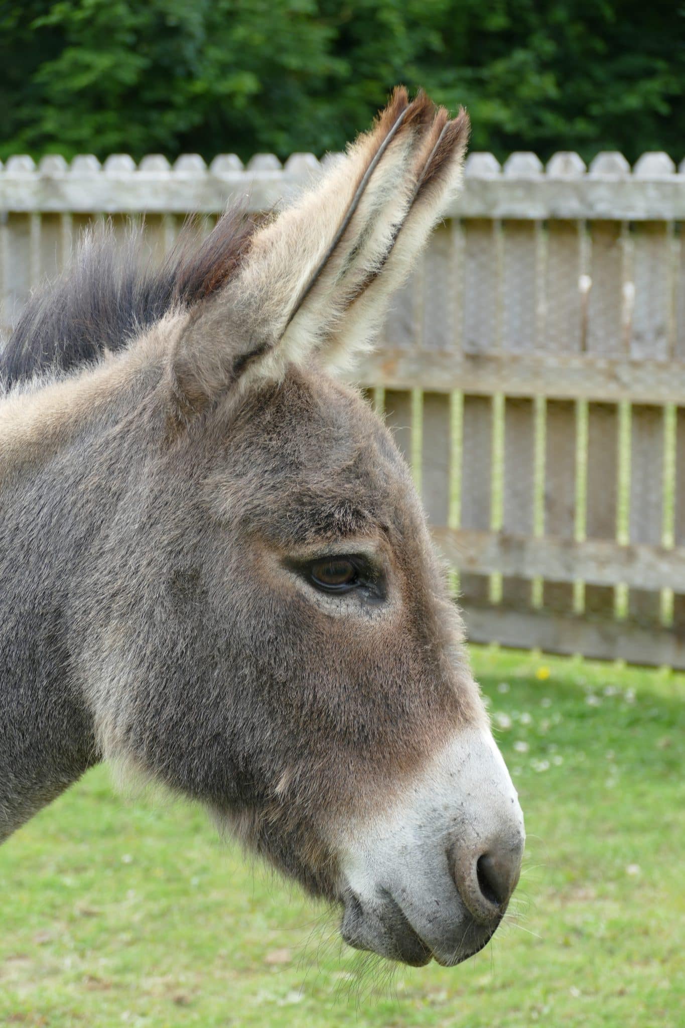 magic-wonkey-donkey-visitors-centre